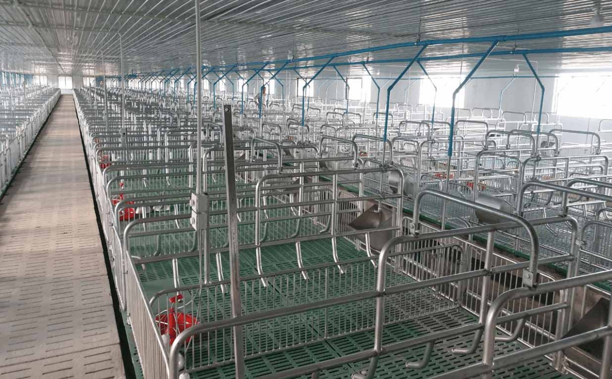 pig equipment pig cage pig farrowing cage design