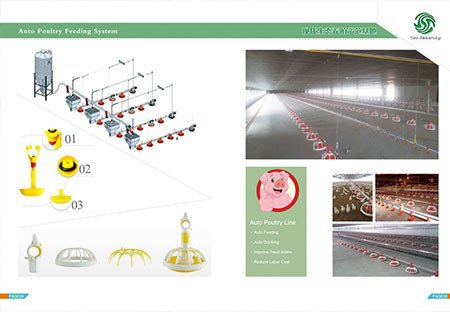 Solution for poultry farm