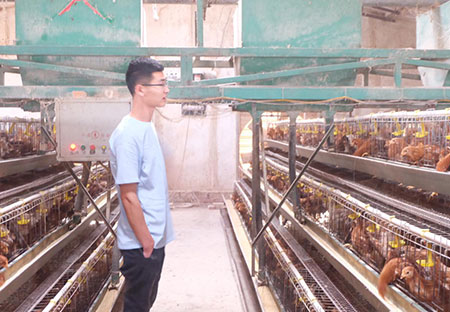 Solution for poultry farm