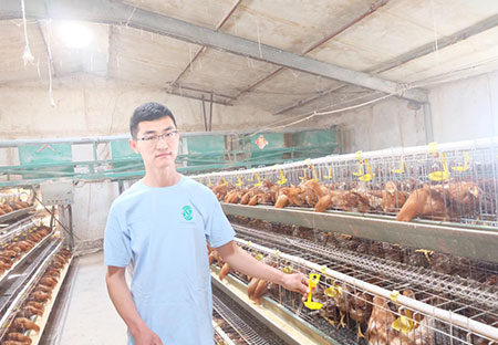 Solution for poultry farm
