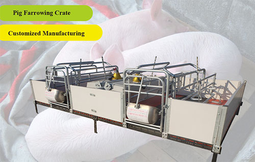 The design and application effect of the farrowing crate