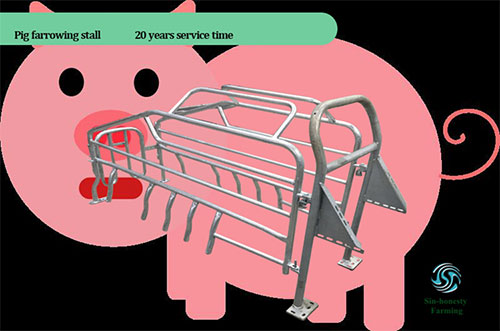 The design and application effect of the farrowing crate