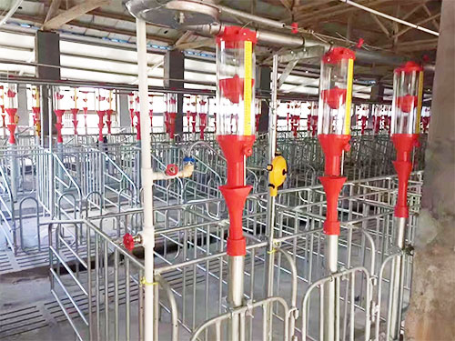 Benefits and effects of pig farm automation feed system application