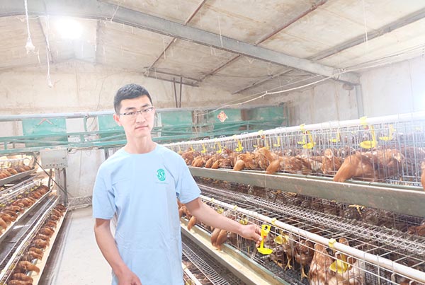 Solution for poultry farm