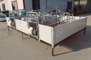 European type farrowing crateSHF-001