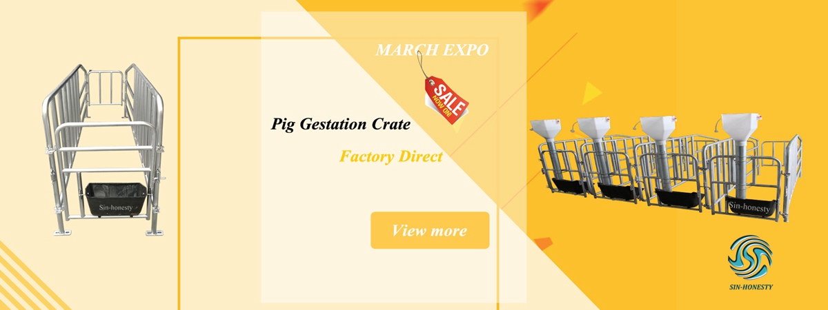 March EXPO Factory Direct big sale for pig farming equipment