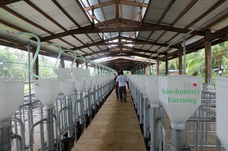 Sin-honesty pig farming equipment in Philippines