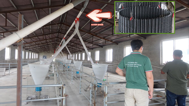 Pig farm automation feeding line planning program