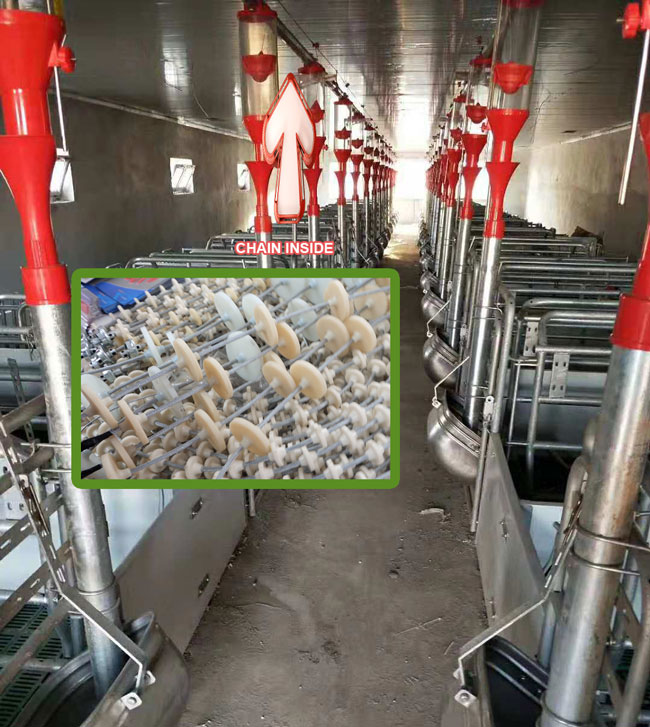 Pig farm automation feeding line planning program