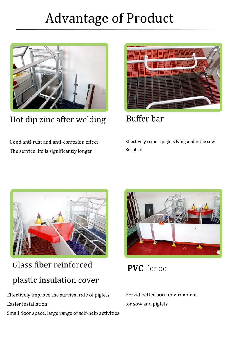 Hot dip galvanizing pig farrowing crate