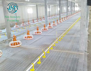 Solution for poultry farm