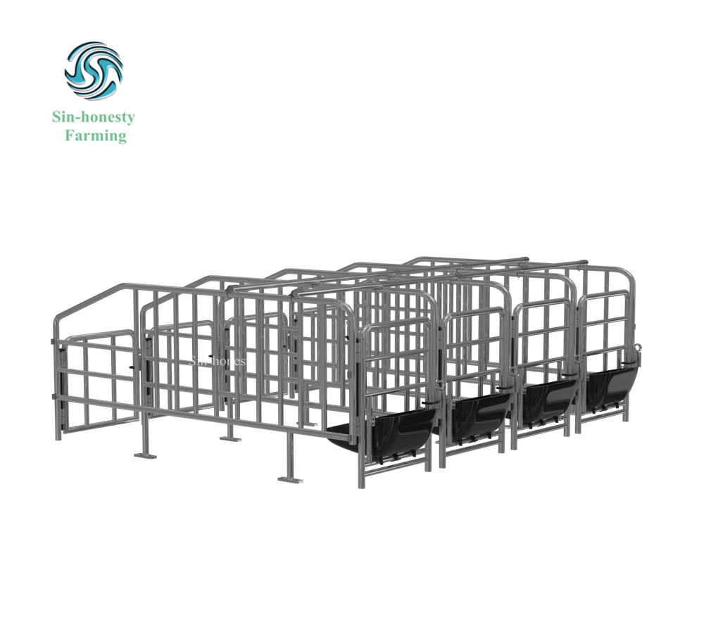 Pig Gestation stall SH002