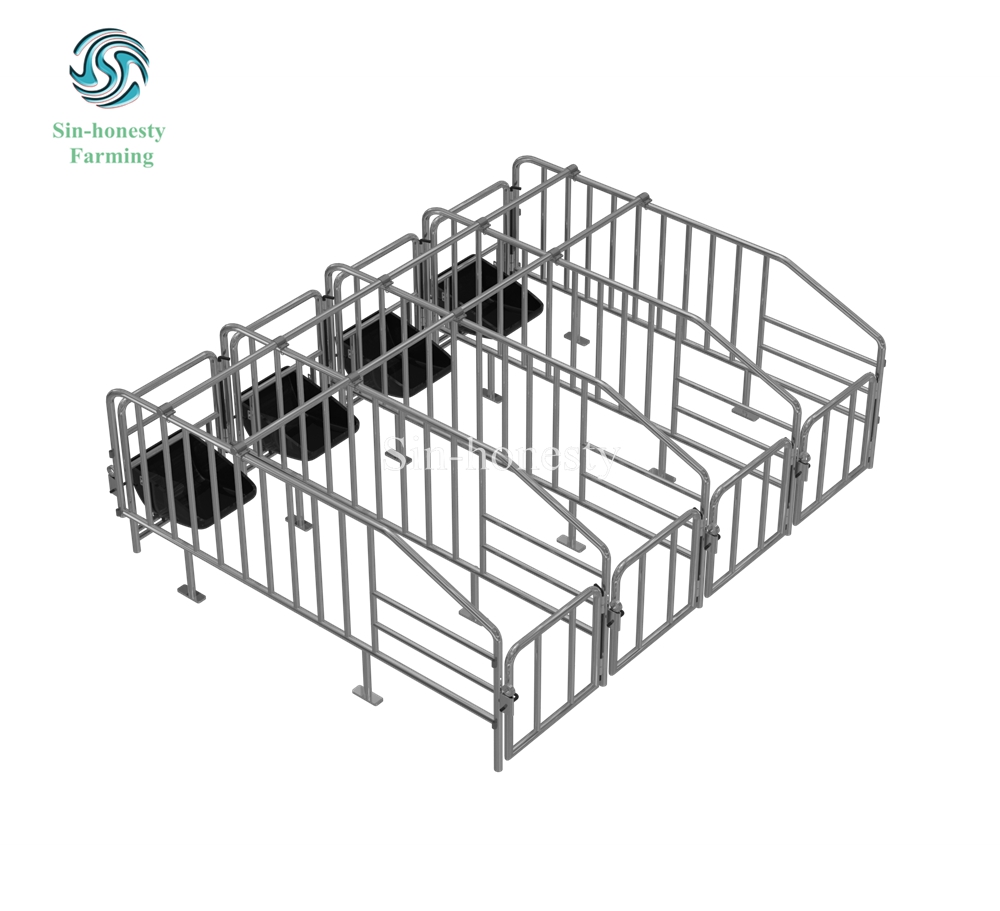 Pig Gestation stall SH002