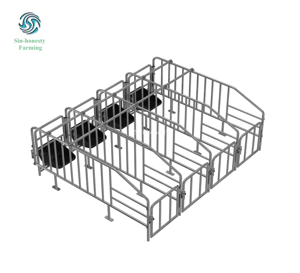 Pig Gestation stall SH002