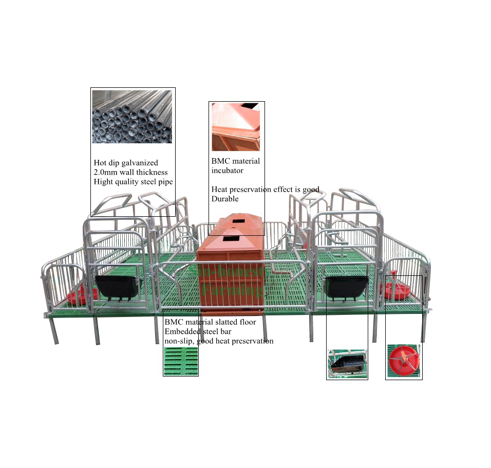 Double size BMC farrowing crateSHF002