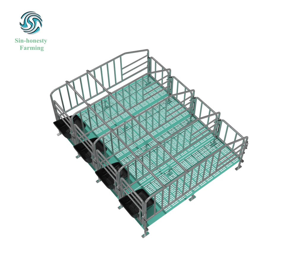 Pig Gestation Stall SH001