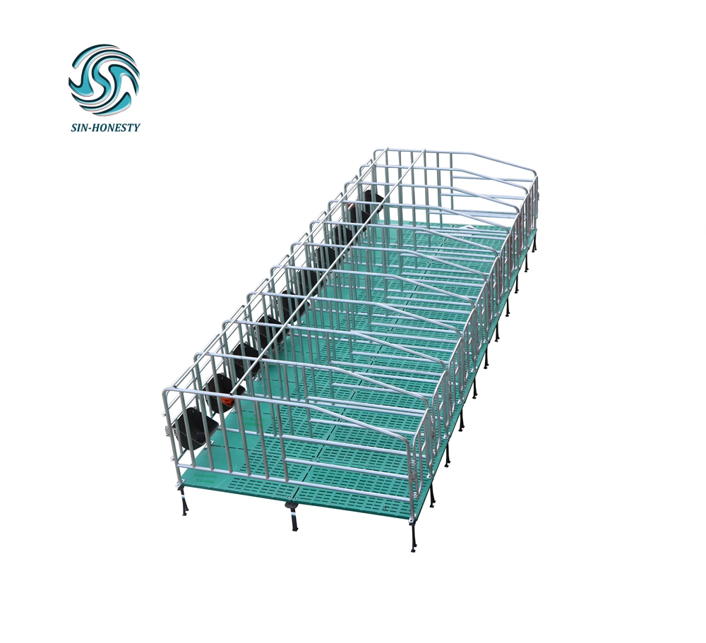 Pig Gestation Stall SH001