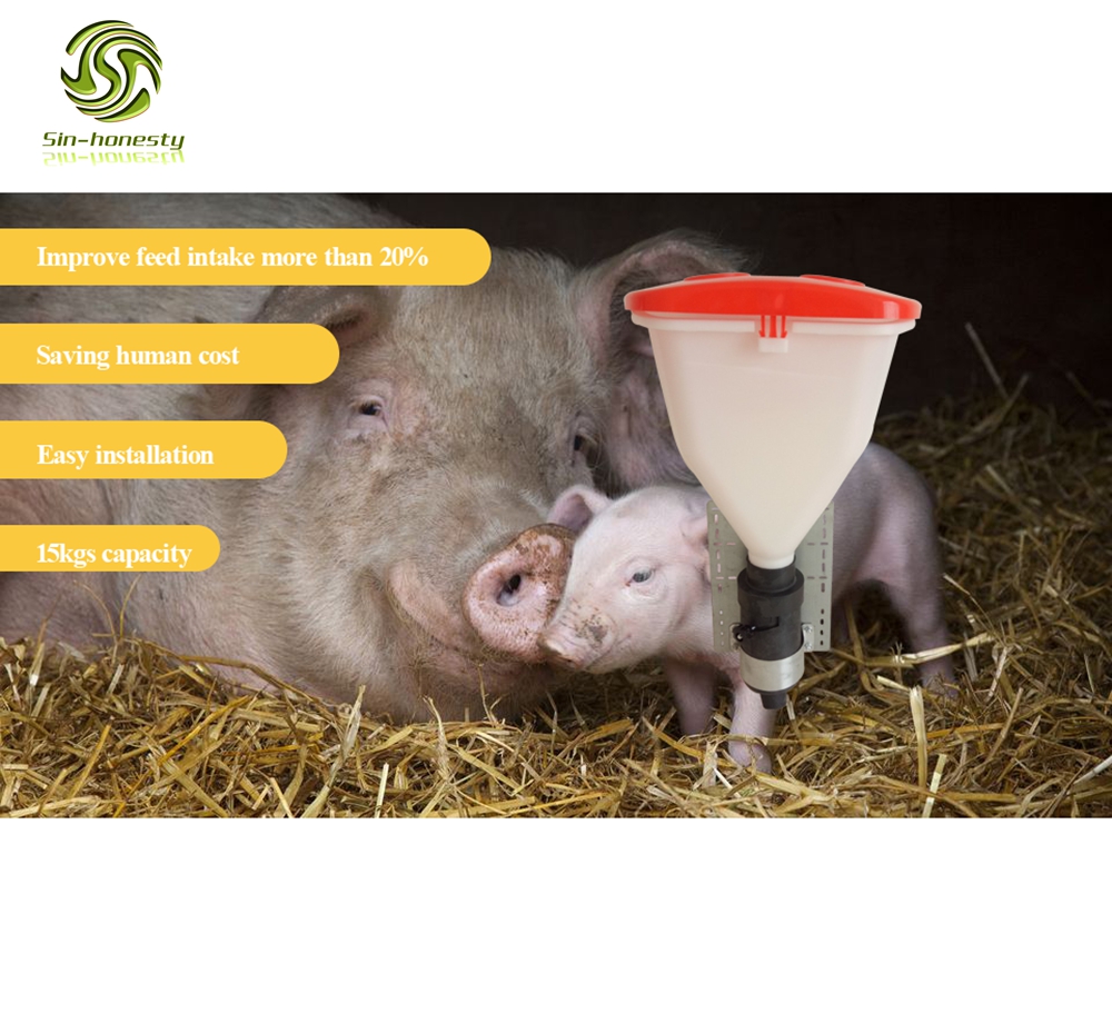Automatic sow feeder SHD003 Automatic sow feeder SHD003