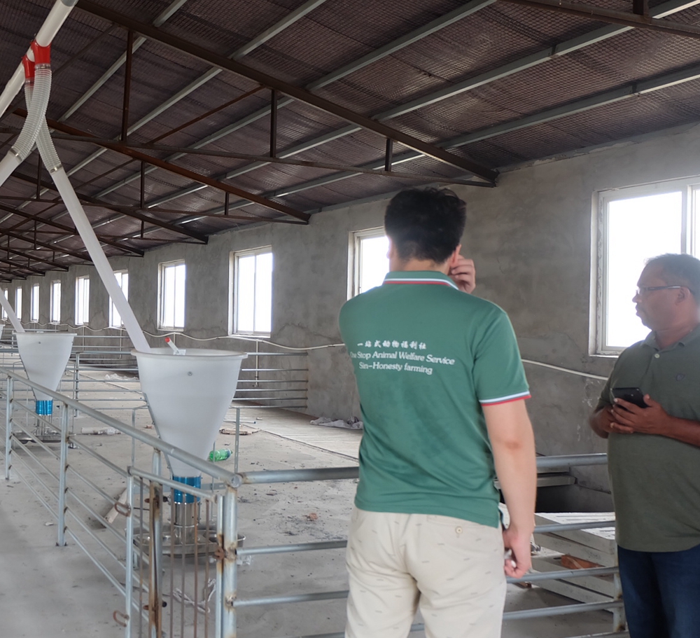 Solution for pig farm