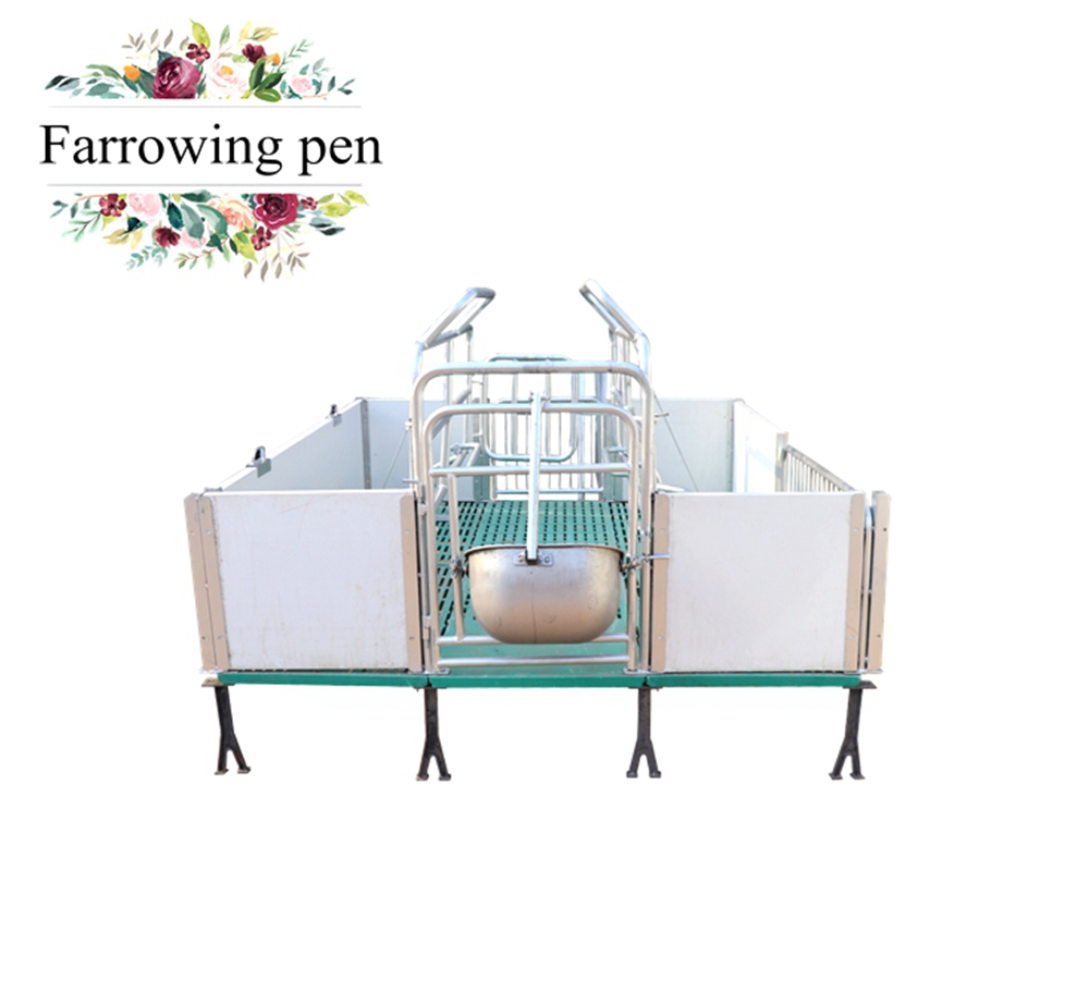  Pig equipment BMC farrowing crates sow farrowing cages SHF005