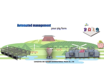 How To Start Pig Farming