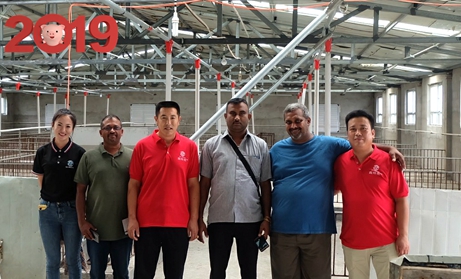 What commonly used equipment does miniature pig farm need? Do you know?