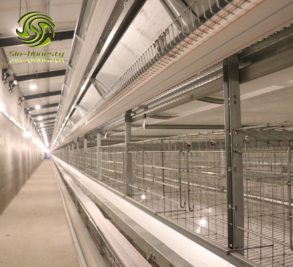 H type chicken layer cage for poultry farm