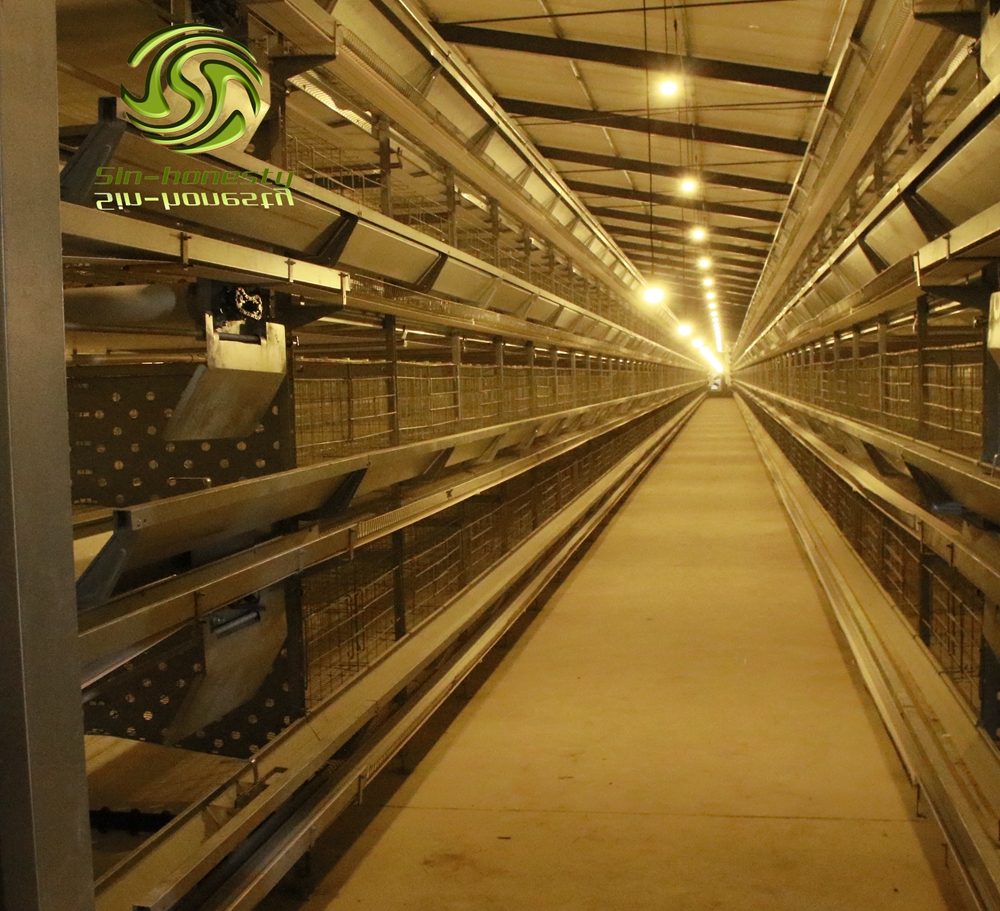 H type chicken layer cage for poultry farm