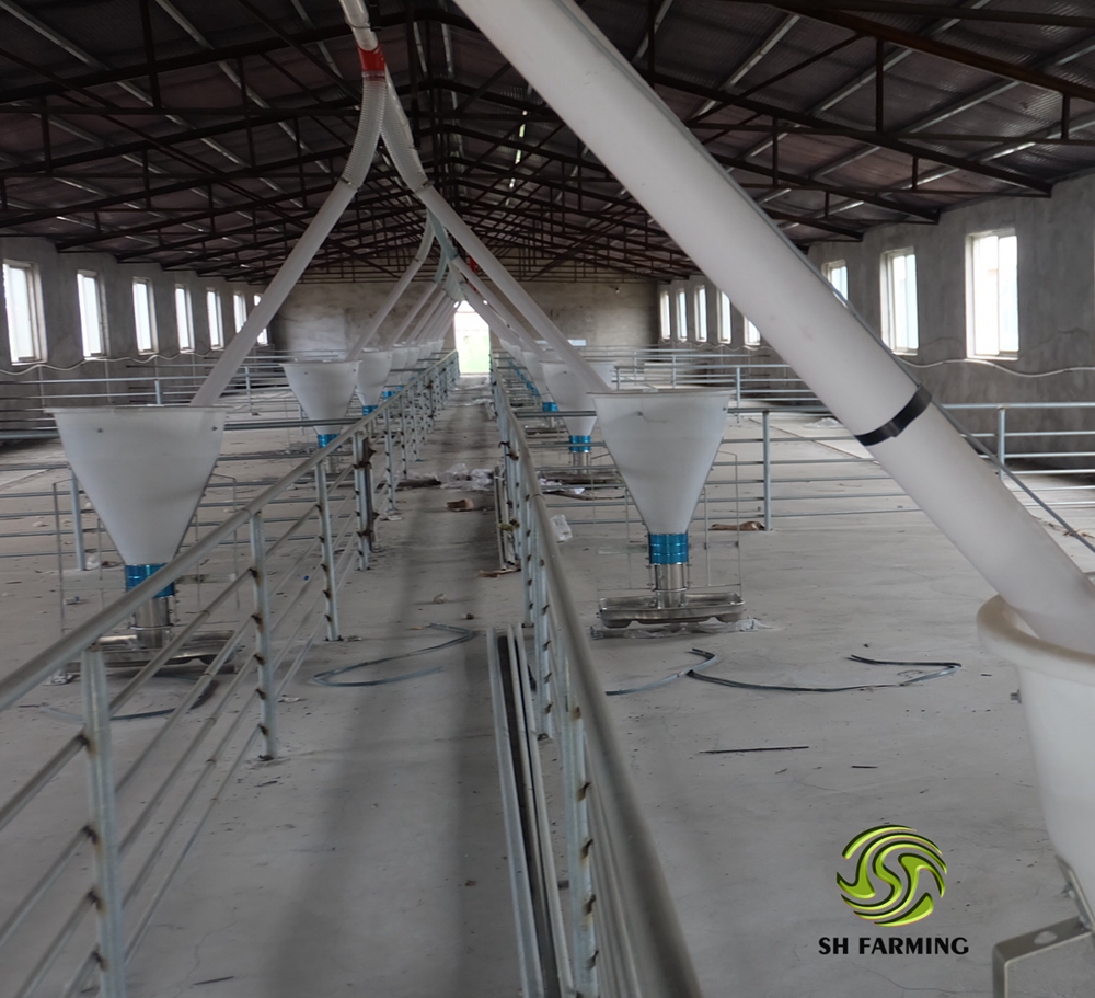 Pig Fattening House Weaner Crate