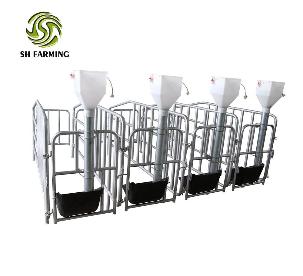 pig farm equipment sows gestation crate sow stalls SH003