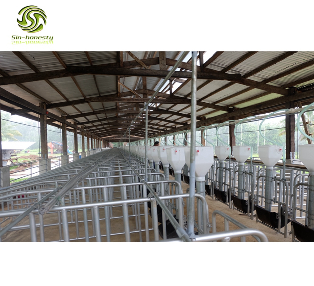 pig farm equipment sows gestation crate sow stalls SH003