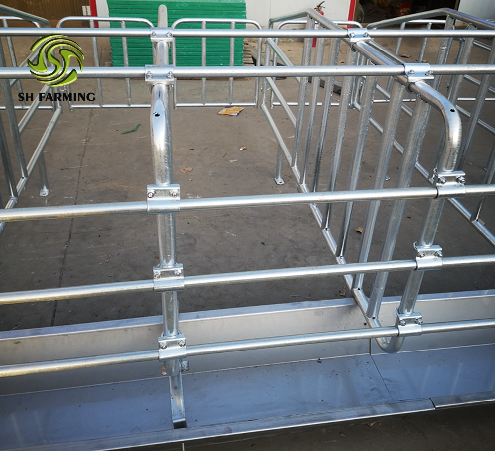 pig farm equipment sows gestation crate sow stalls SH004